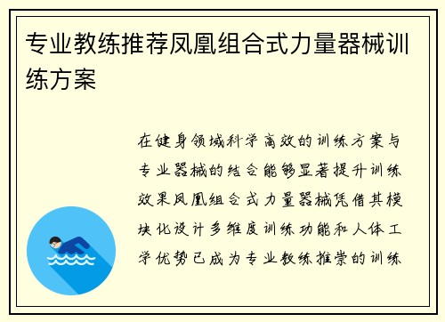 专业教练推荐凤凰组合式力量器械训练方案